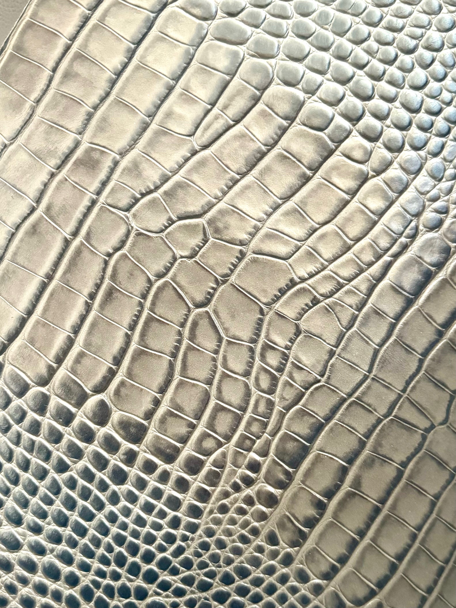 Cocco Tortora