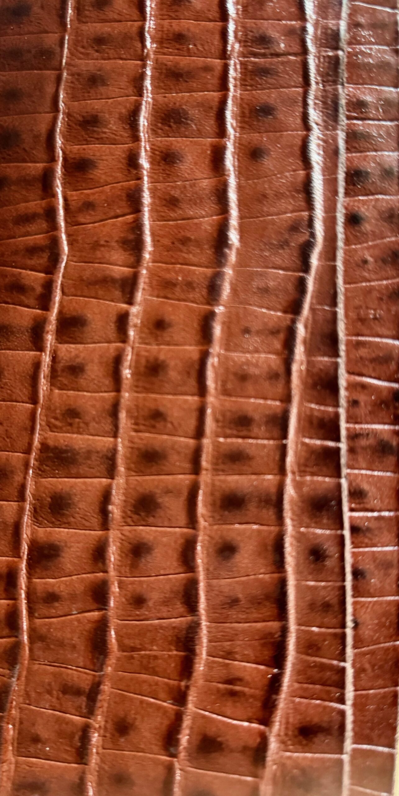 mezzo vitello stampato cocco cognac